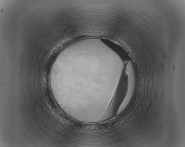 X0000084020688200703161740