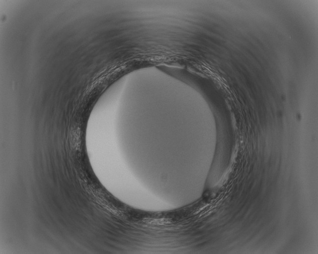 X0000084020689200703161740