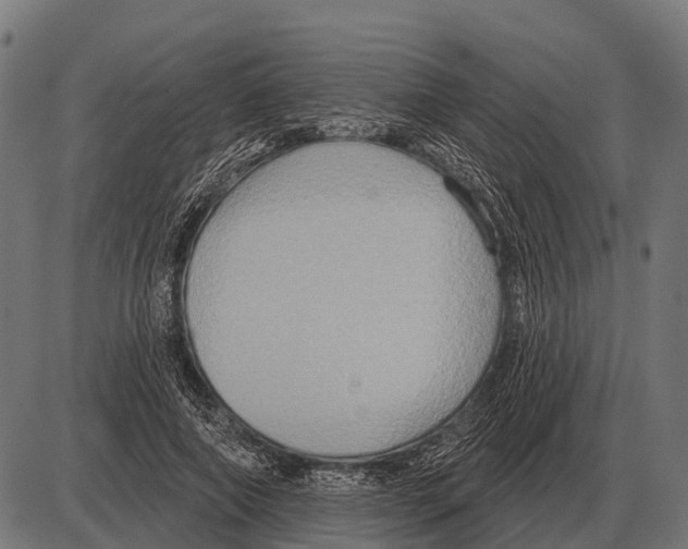 X0000084020690200703161740