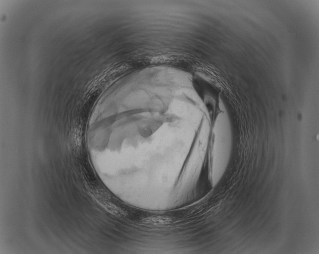 X0000084020691200703161740