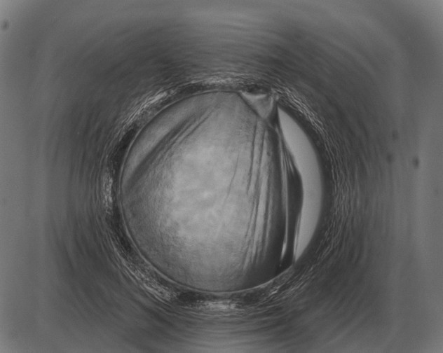 X0000084020692200703161740