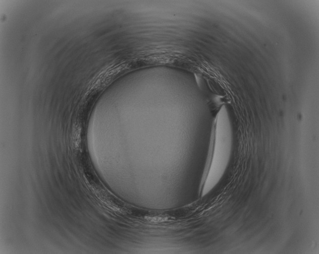 X0000084020693200703161740