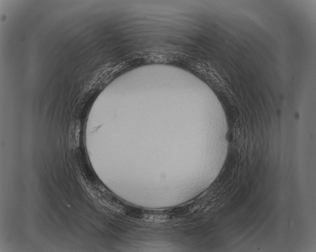 X0000084020694200703161740