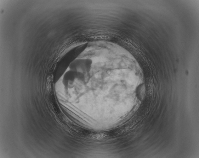 X0000084020695200703161740