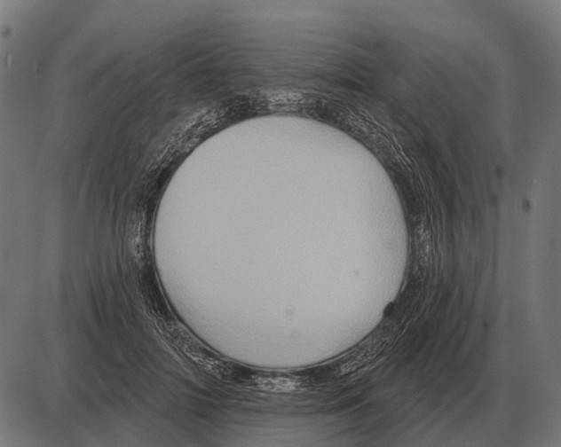 X0000084020698200703161740