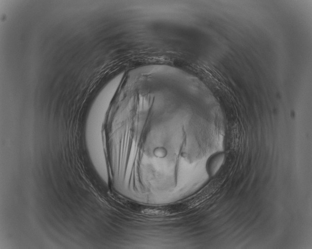 X0000084020699200703161740