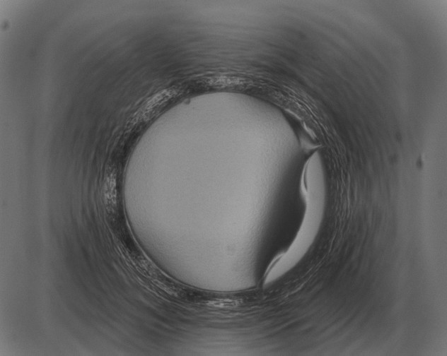 X0000084020700200703161740