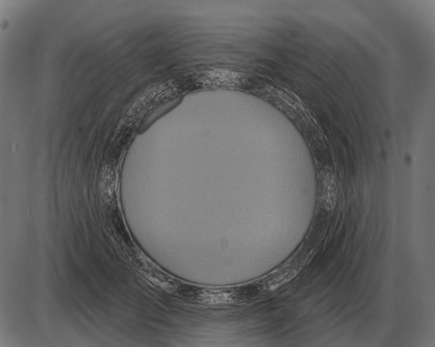 X0000084020701200703161740