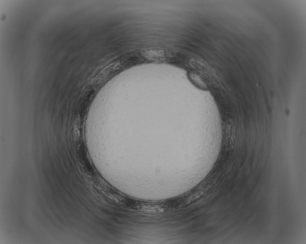 X0000084020702200703161740