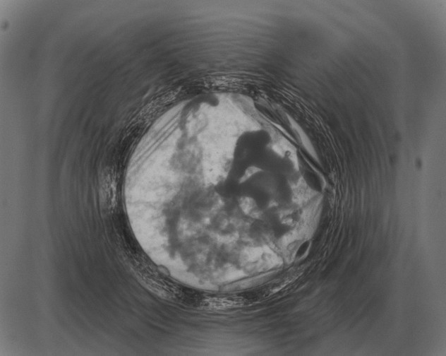 X0000084020703200703161740