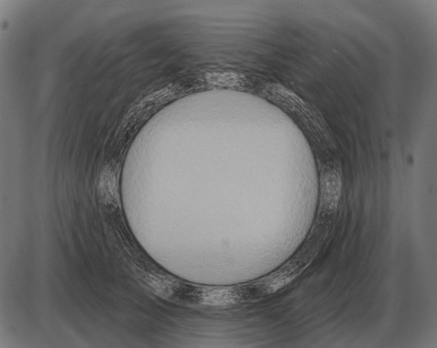 X0000084020705200703161739