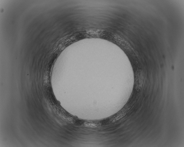 X0000084020706200703161739