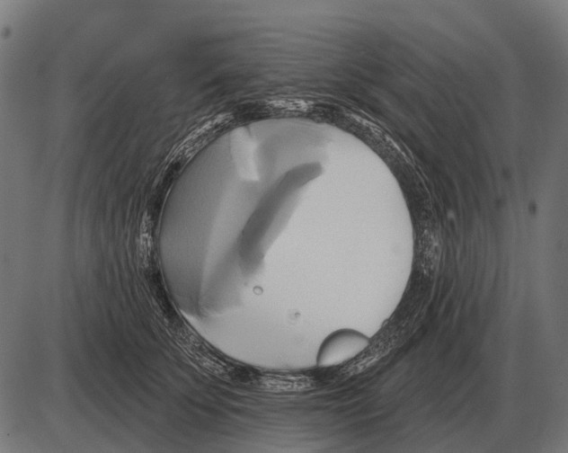 X0000084020707200703161739