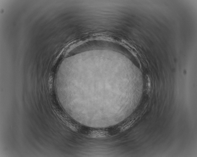 X0000084020708200703161739