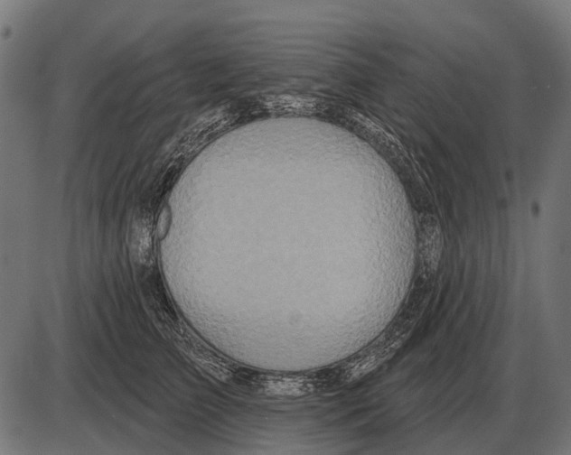 X0000084020709200703161739