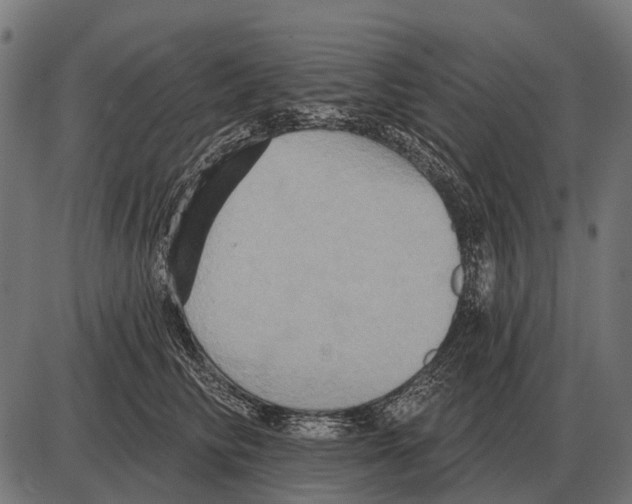 X0000084020710200703161739