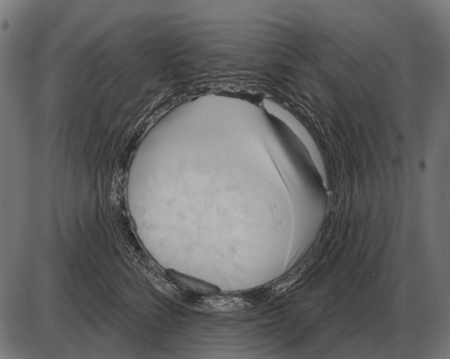 X0000084020712200703161739