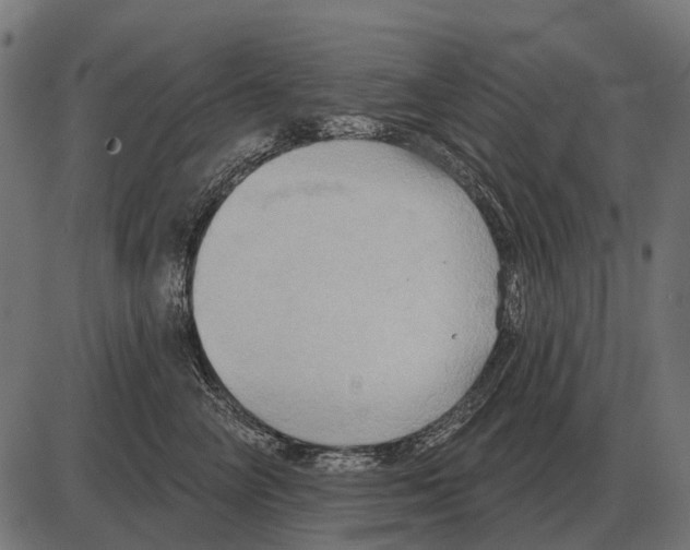 X0000084020714200703161739