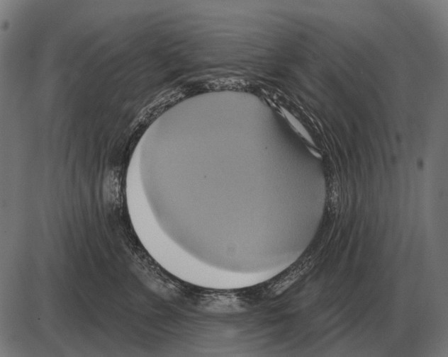 X0000084020715200703161739