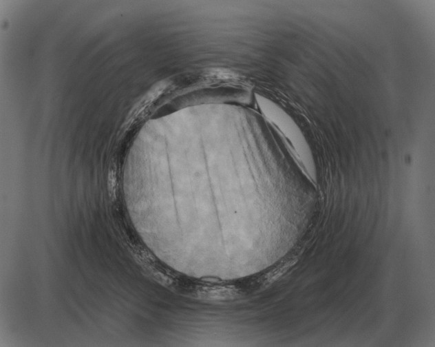 X0000084020716200703161739