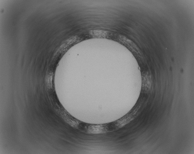 X0000084020717200703161739