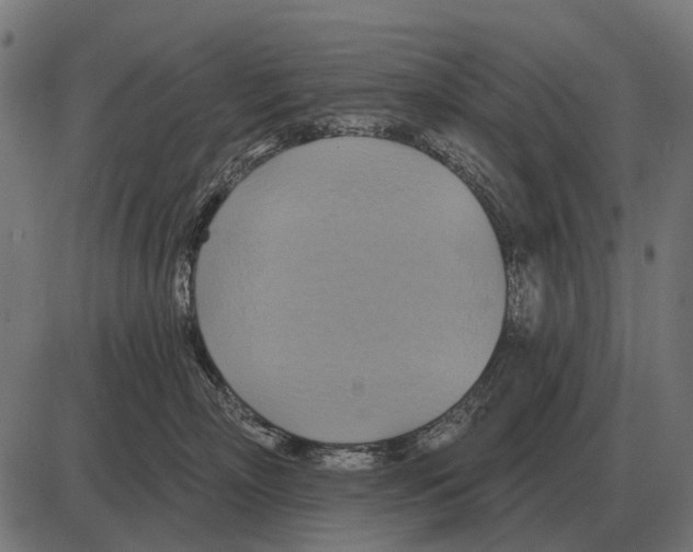 X0000084020718200703161739