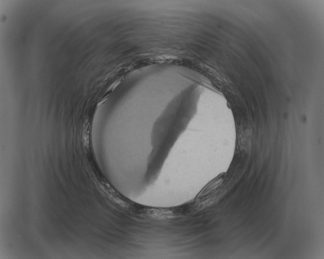 X0000084020719200703161739