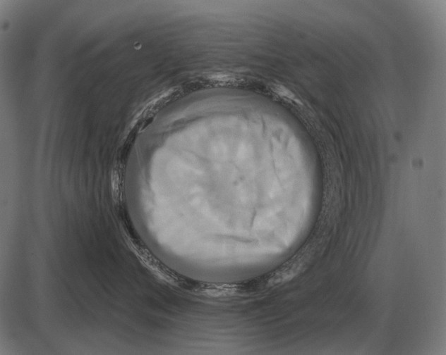 X0000084020720200703161739