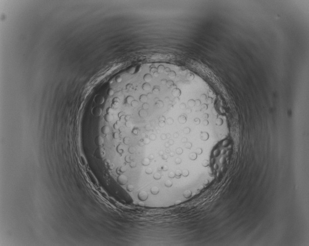 X0000084020721200703161738