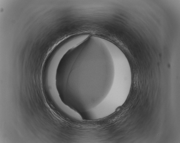 X0000084020722200703161738