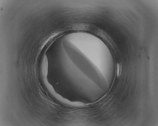 X0000084020723200703161738