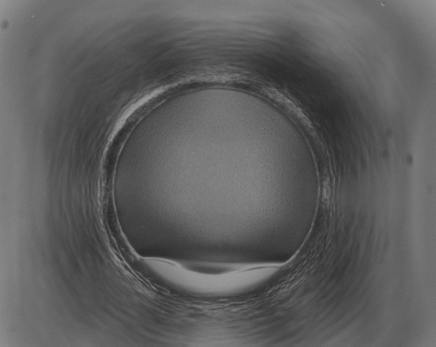 X0000084020724200703161739