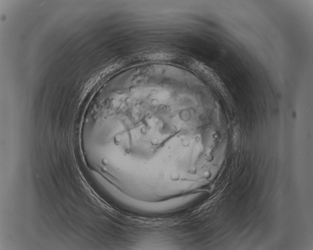 X0000084020725200703161739