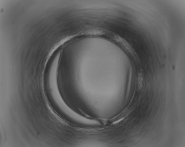 X0000084020726200703161739