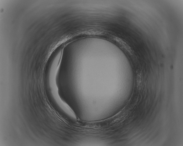 X0000084020727200703161739