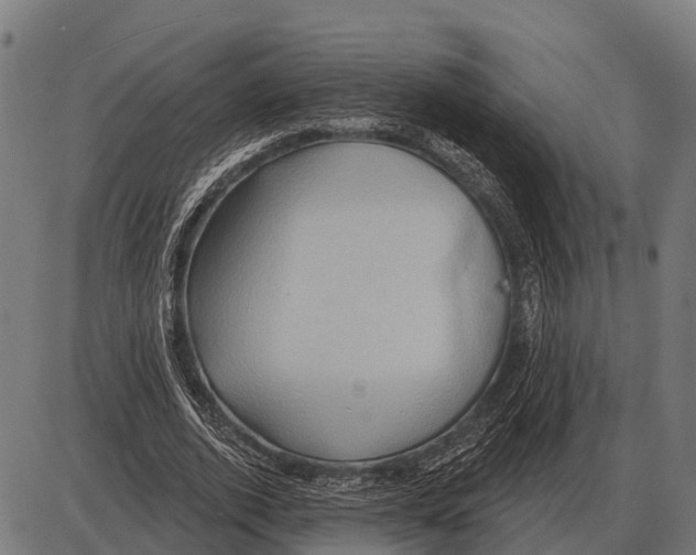 X0000084020728200703161739