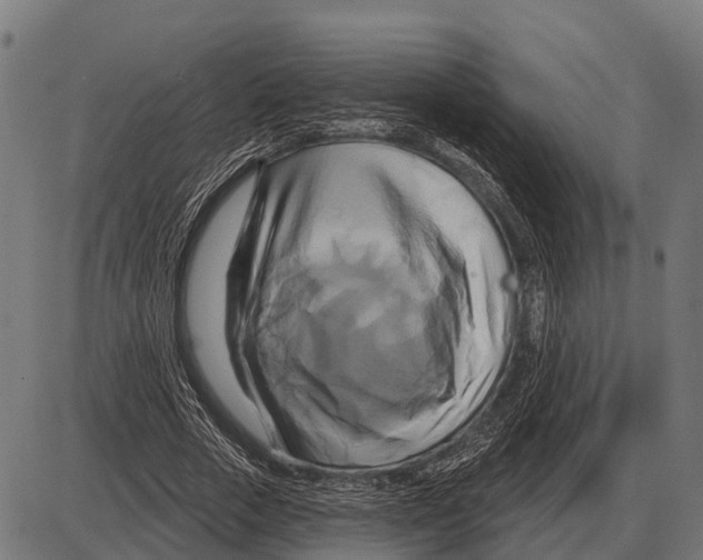 X0000084020729200703161739