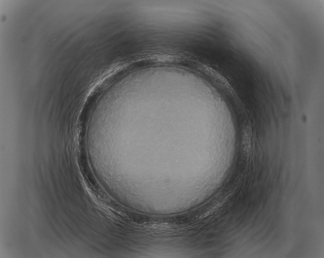 X0000084020730200703161739