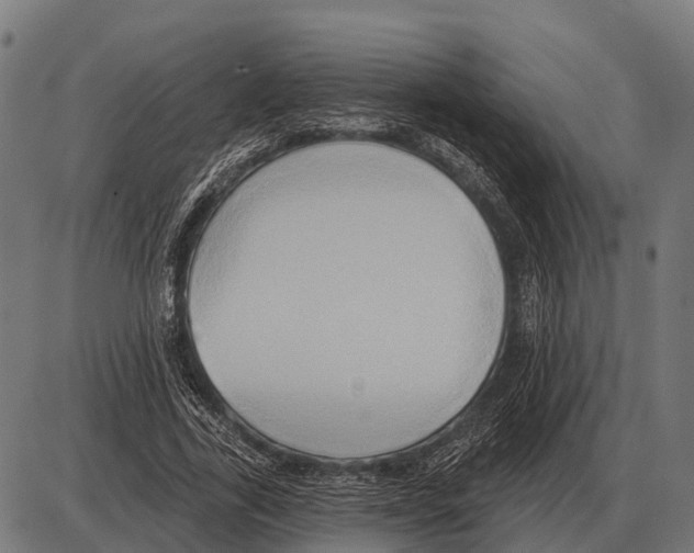 X0000084020731200703161739