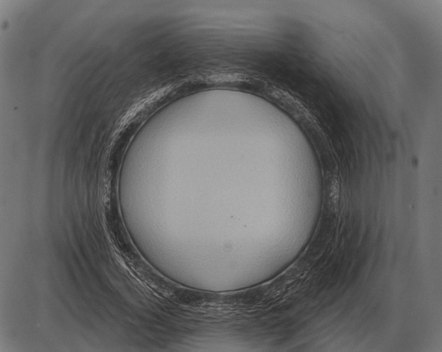 X0000084020732200703161739