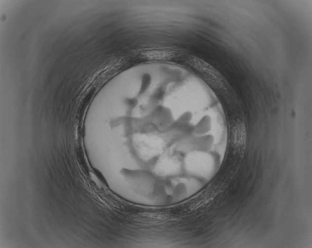 X0000084020733200703161739