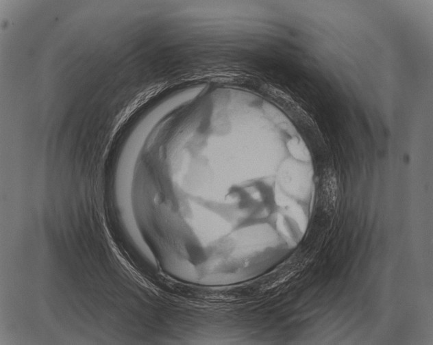 X0000084020734200703161739