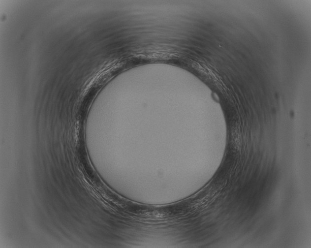 X0000084020735200703161739