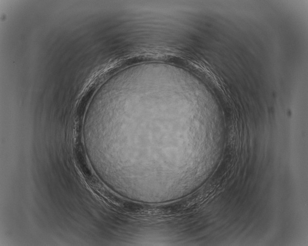 X0000084020736200703161739