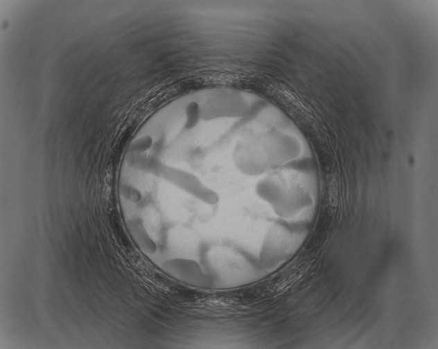 X0000084020737200703161739