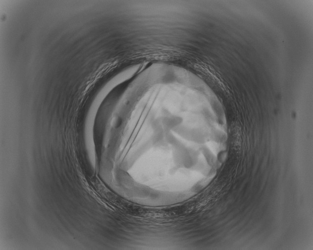 X0000084020738200703161739