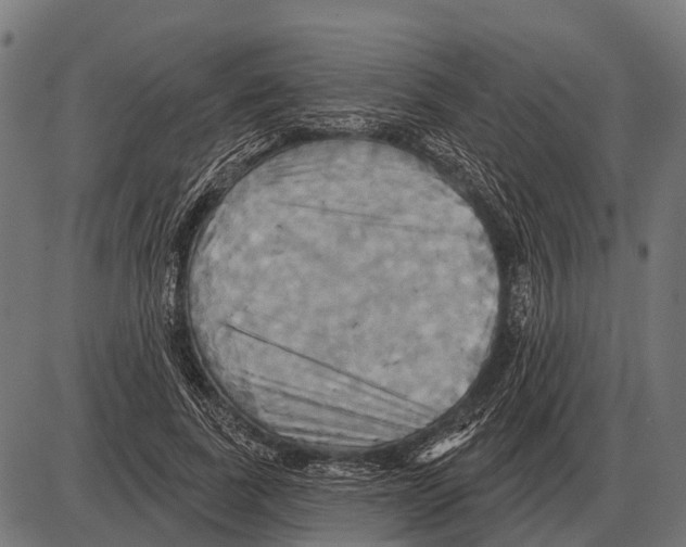 X0000084020739200703161739