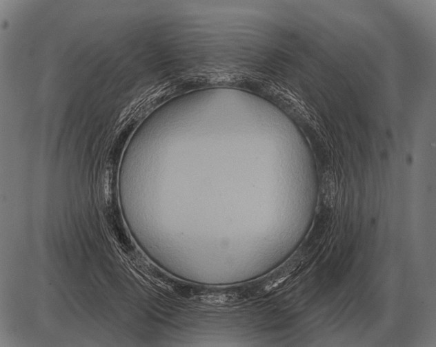 X0000084020740200703161739