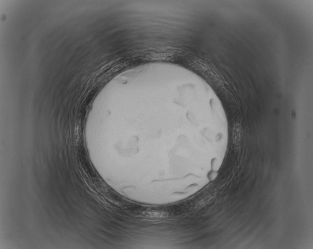 X0000084020741200703161739