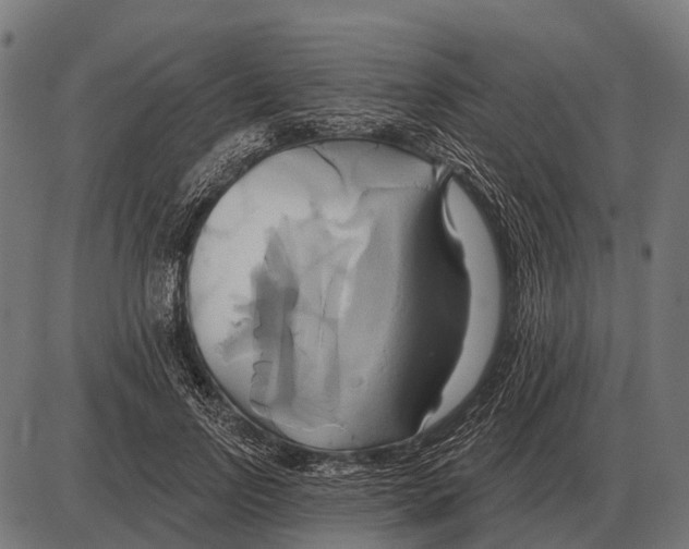 X0000084020742200703161739